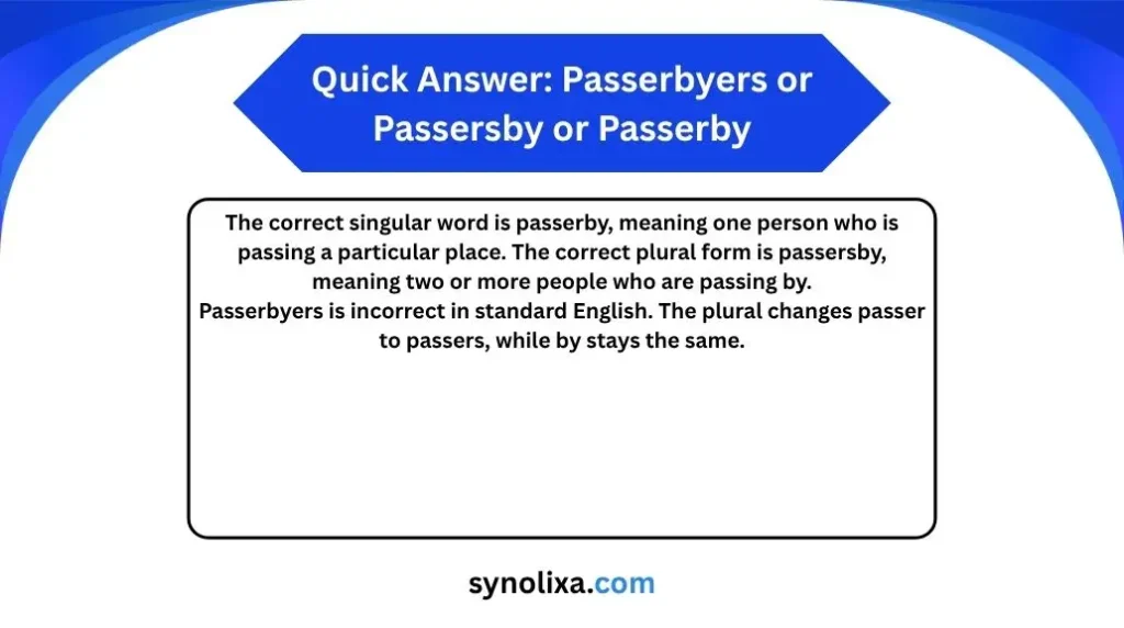 passerbyers or passersby or passerby