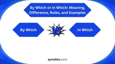 by which or in which