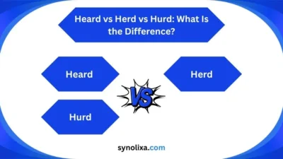 heard vs herd vs hurd