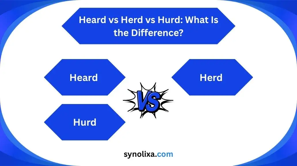 heard vs herd vs hurd