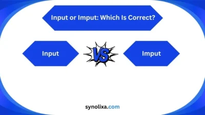 input or imput