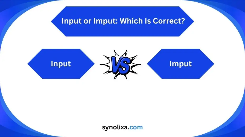 input or imput